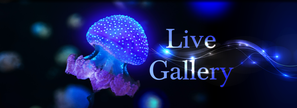 Live Gallery - Nature Screensaver app for Apple TV