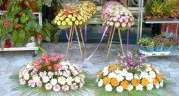 composizioni floreali in esposizione