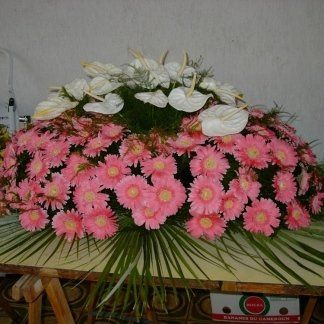 gerbere rosa e anthurium bianchi