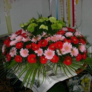 composizione gerbere rosse e rosa e anthurium verde