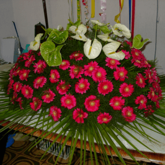 gerbere fucsia e anthurium bianco