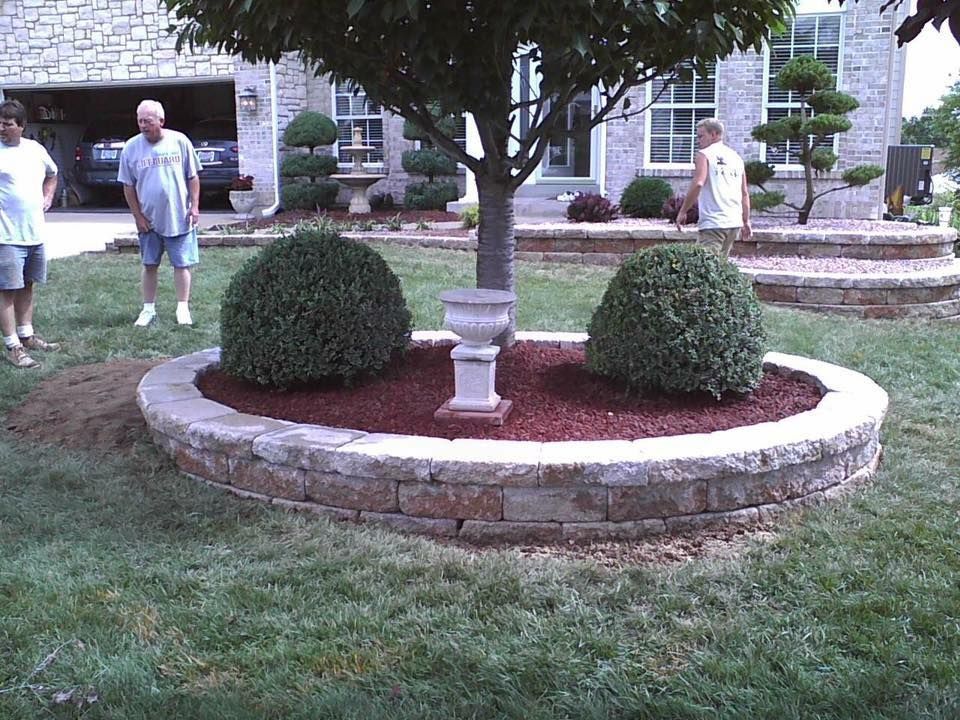 Three men standing near a tree and two shrubs in a brick-lined garden bed.