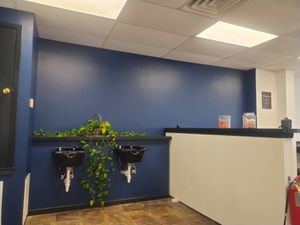 Break room with blue wall, white counter, two sinks, hanging plants, and ceiling lights