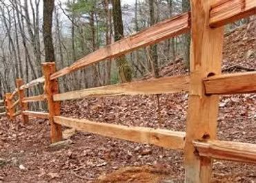 A wooden split-rail fence runs along a forest path covered in fallen leaves under a canopy of trees.