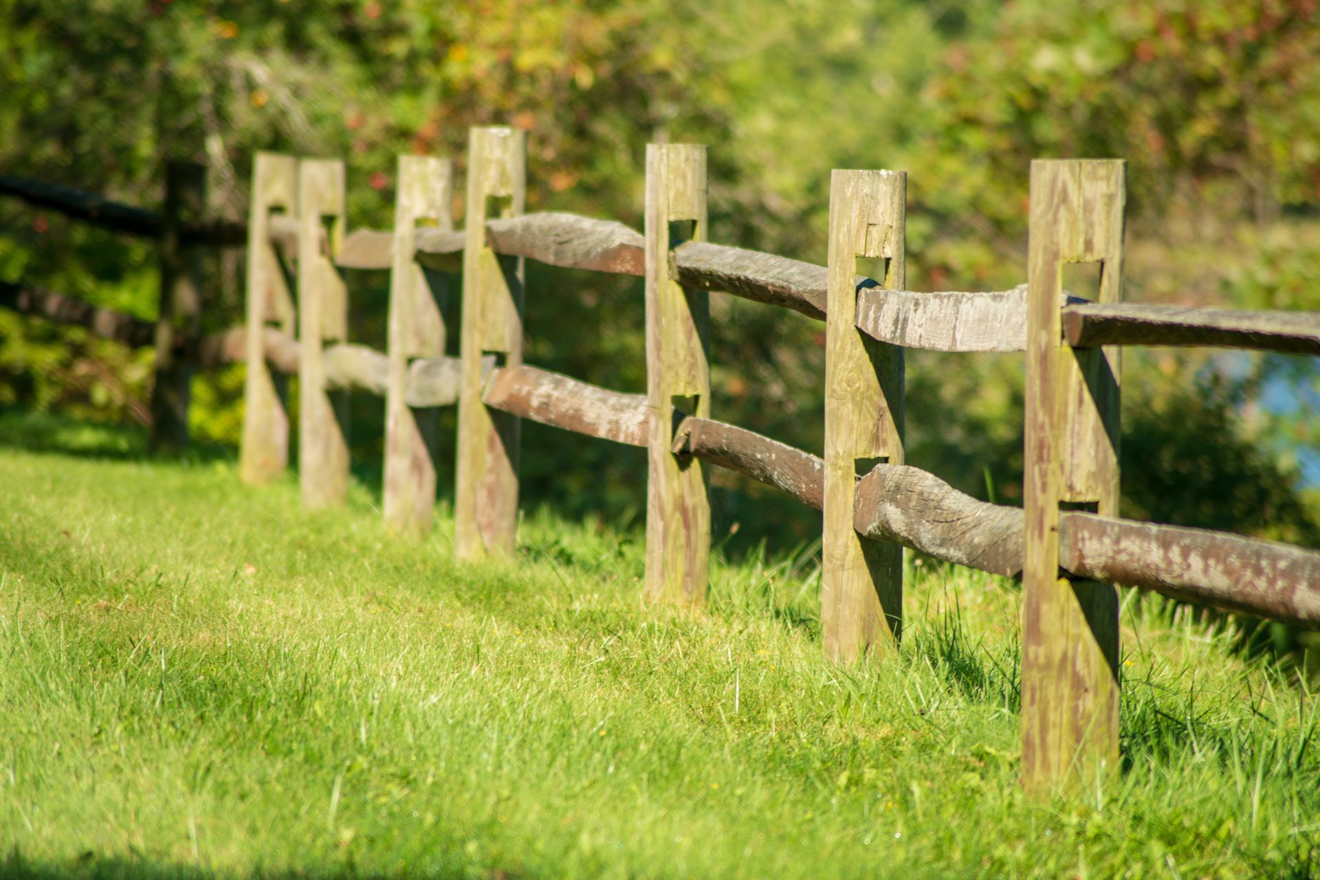 A low wooden picket fence with alternating light and dark boards in a mountain meadow with purple lupine flowers.