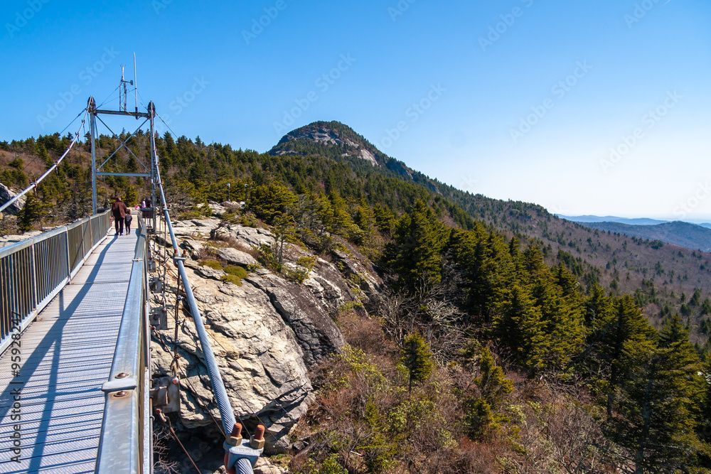 A nursery with potted plants in the foreground, wooden tables in the background, and mountains under a clear blue sky.