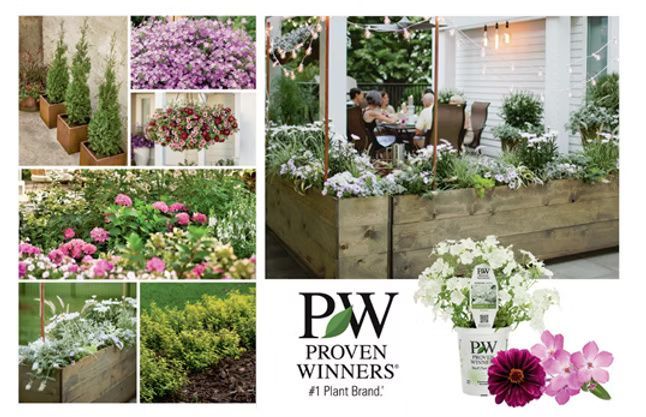 Collage of garden settings, planters, and flowering plants with the Proven Winners brand logo.