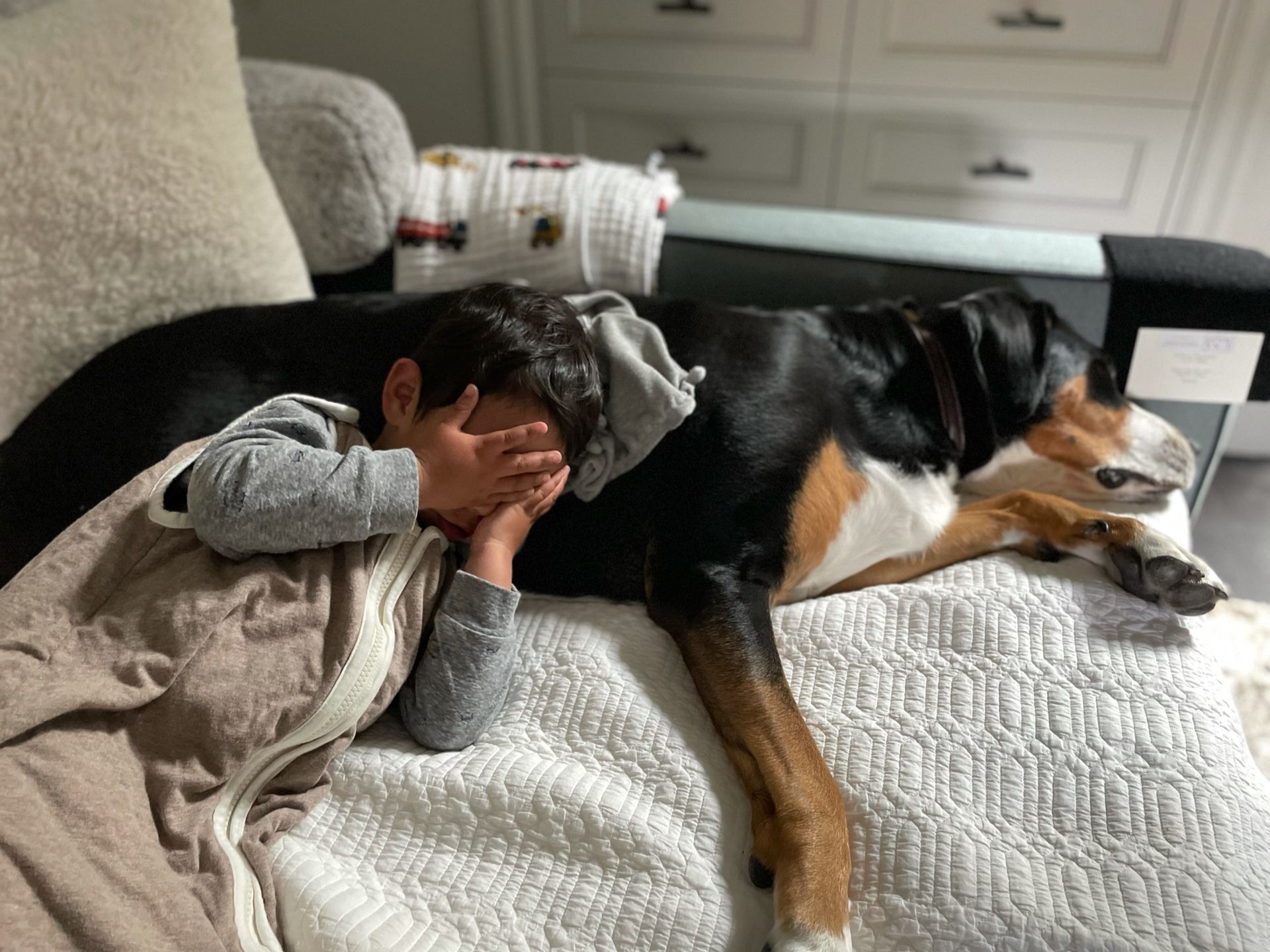 A child in pajamas with hands over their face cuddles with a large, tricolor dog on a white textured blanket.
