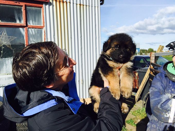 A person holding a fluffy German Shepherd puppy in front of a building with corrugated metal siding.