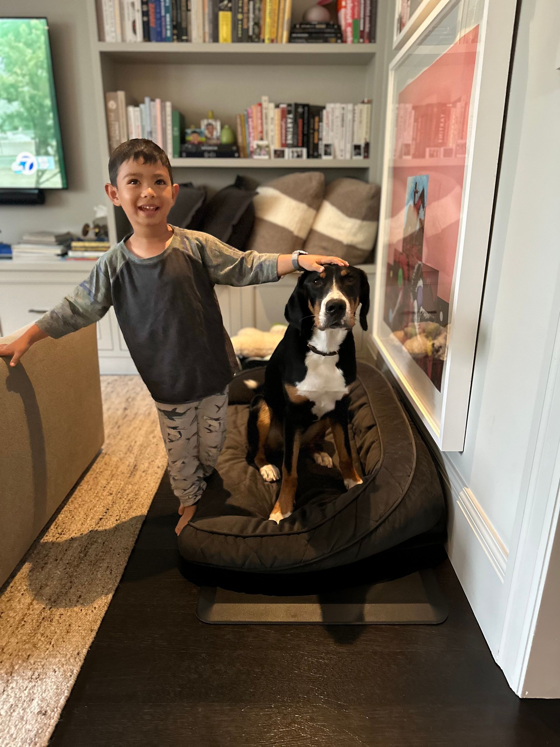 A young person smiling while petting a black, white, and tan dog sitting on a dark pet bed in a home with bookshelves.