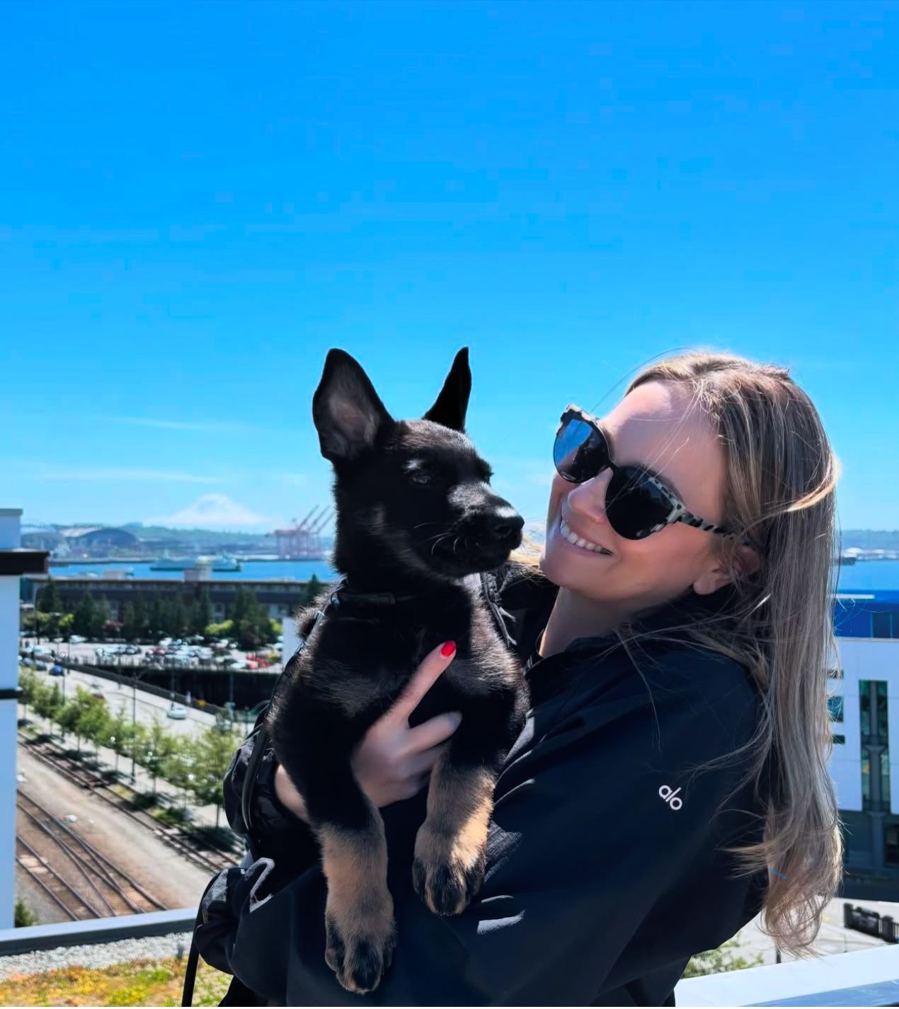A person in a black jacket and sunglasses holds a dark German Shepherd puppy against a bright blue sky and coastal view.
