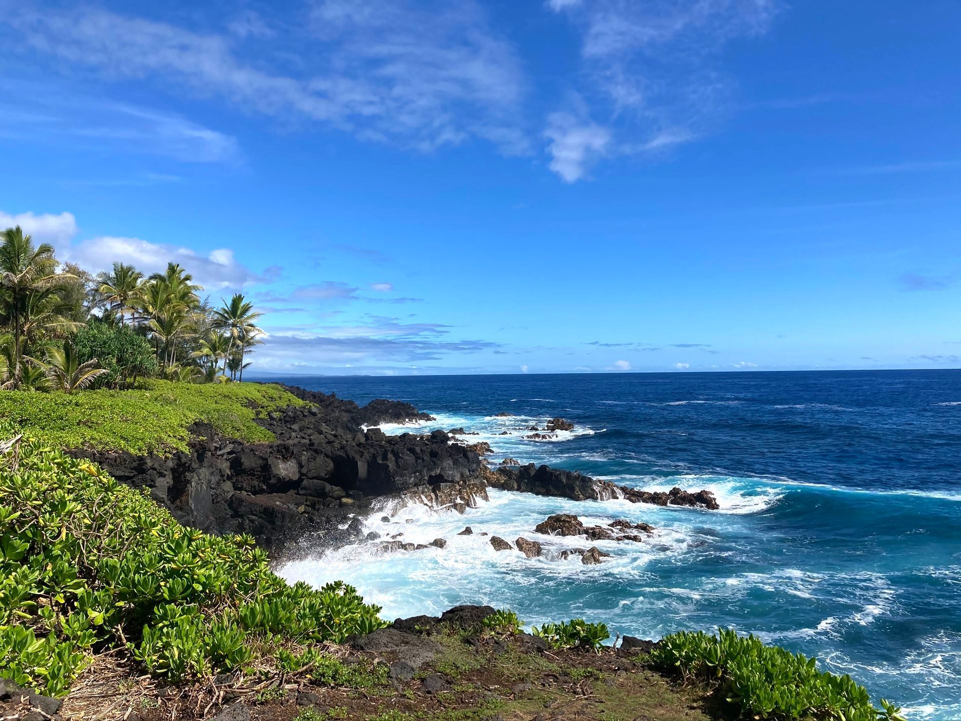 A cliff overlooking the ocean on a sunny day