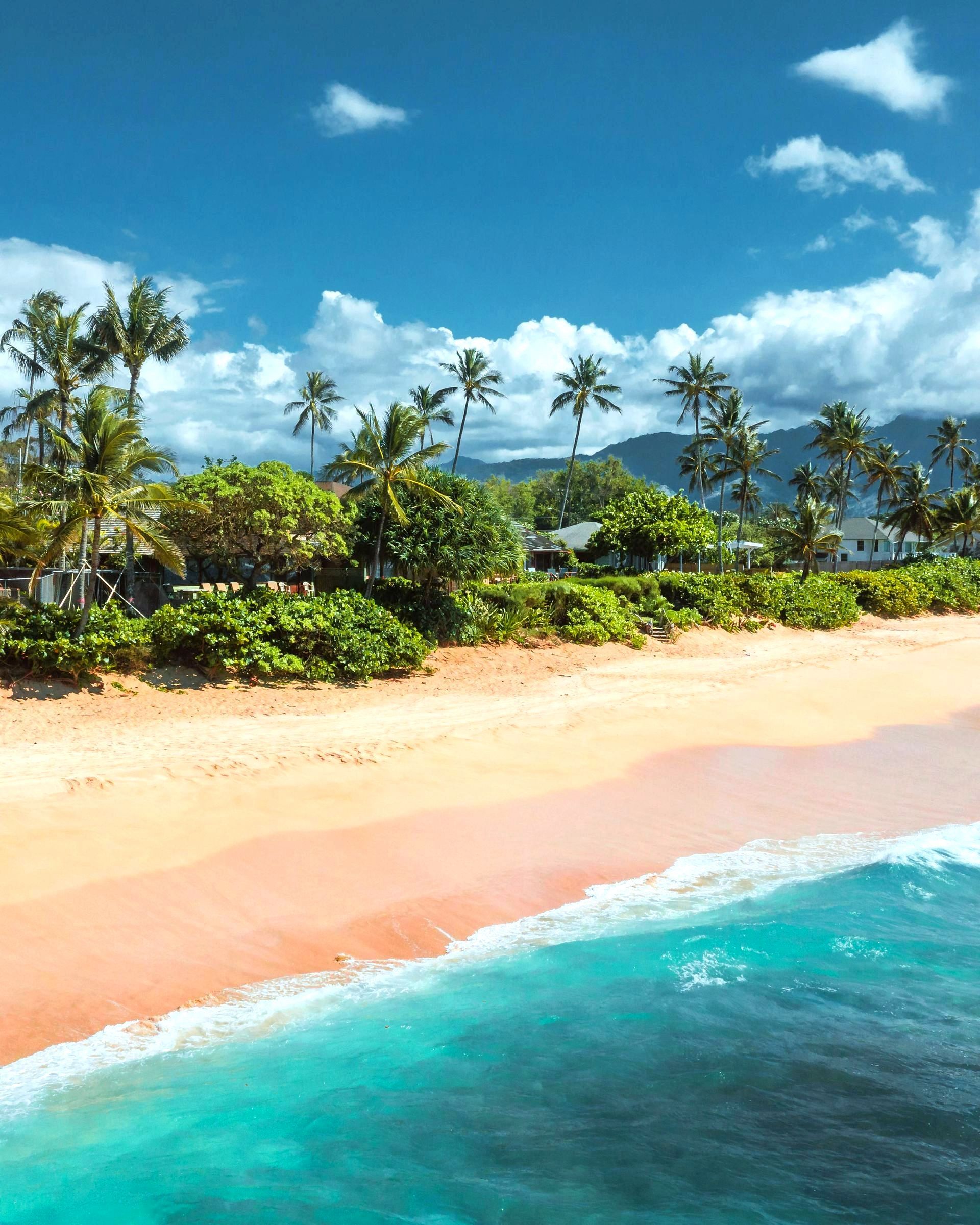 An aerial view of a beach with palm trees and mountains in the background
