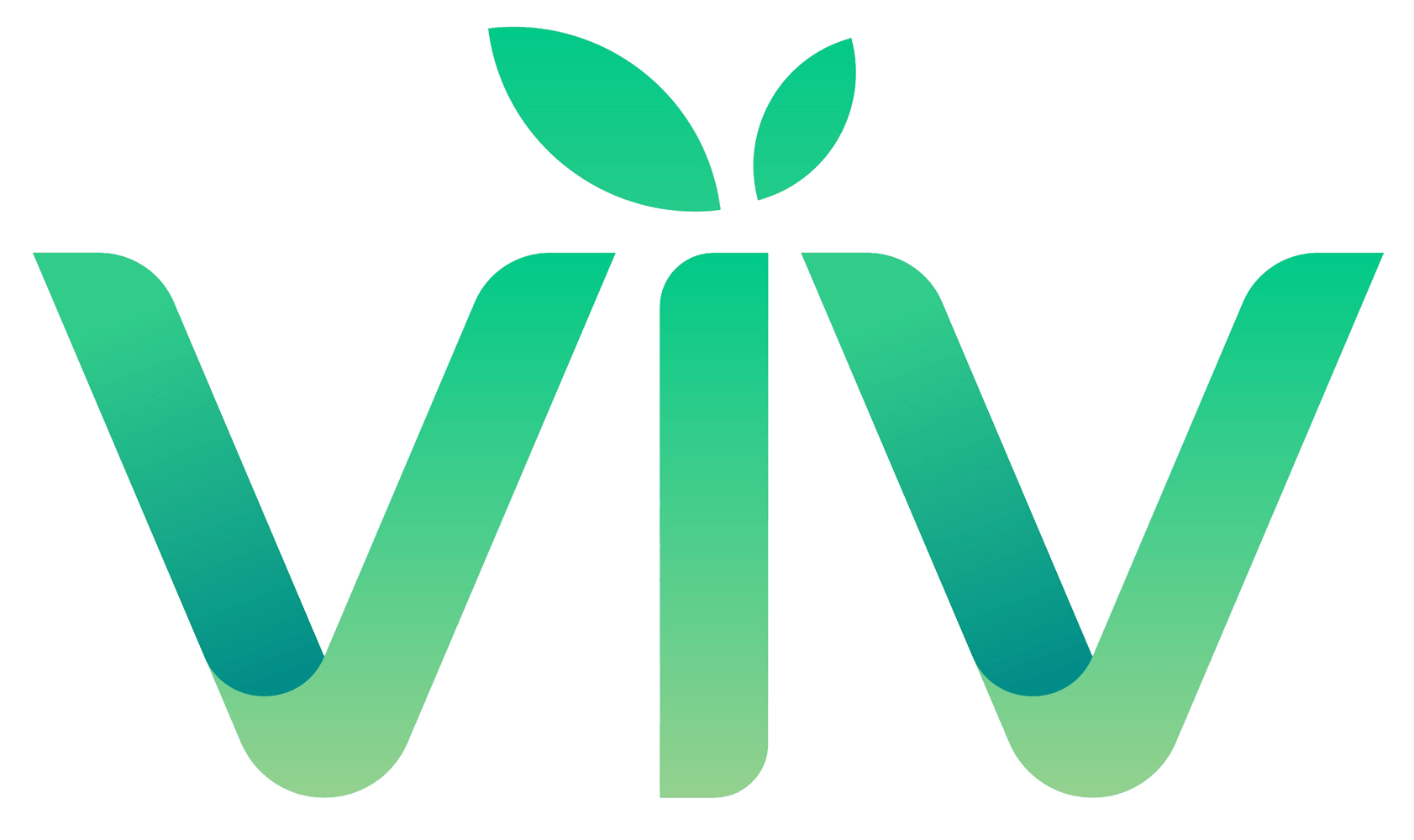 VIV - Digital Marketing - Website Design