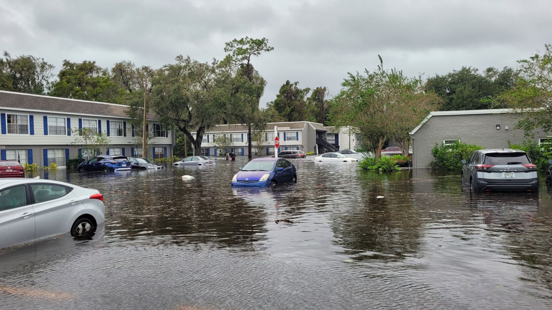 A flooded parking lot with cars floating in the water.