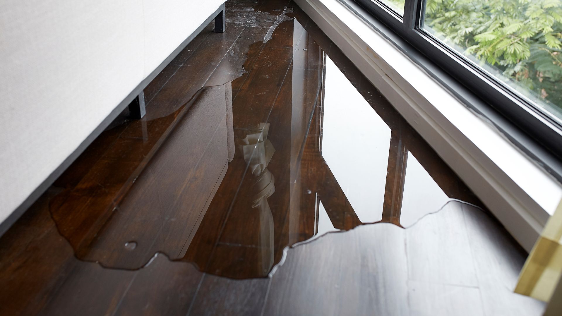 A puddle of water on a wooden floor next to a window