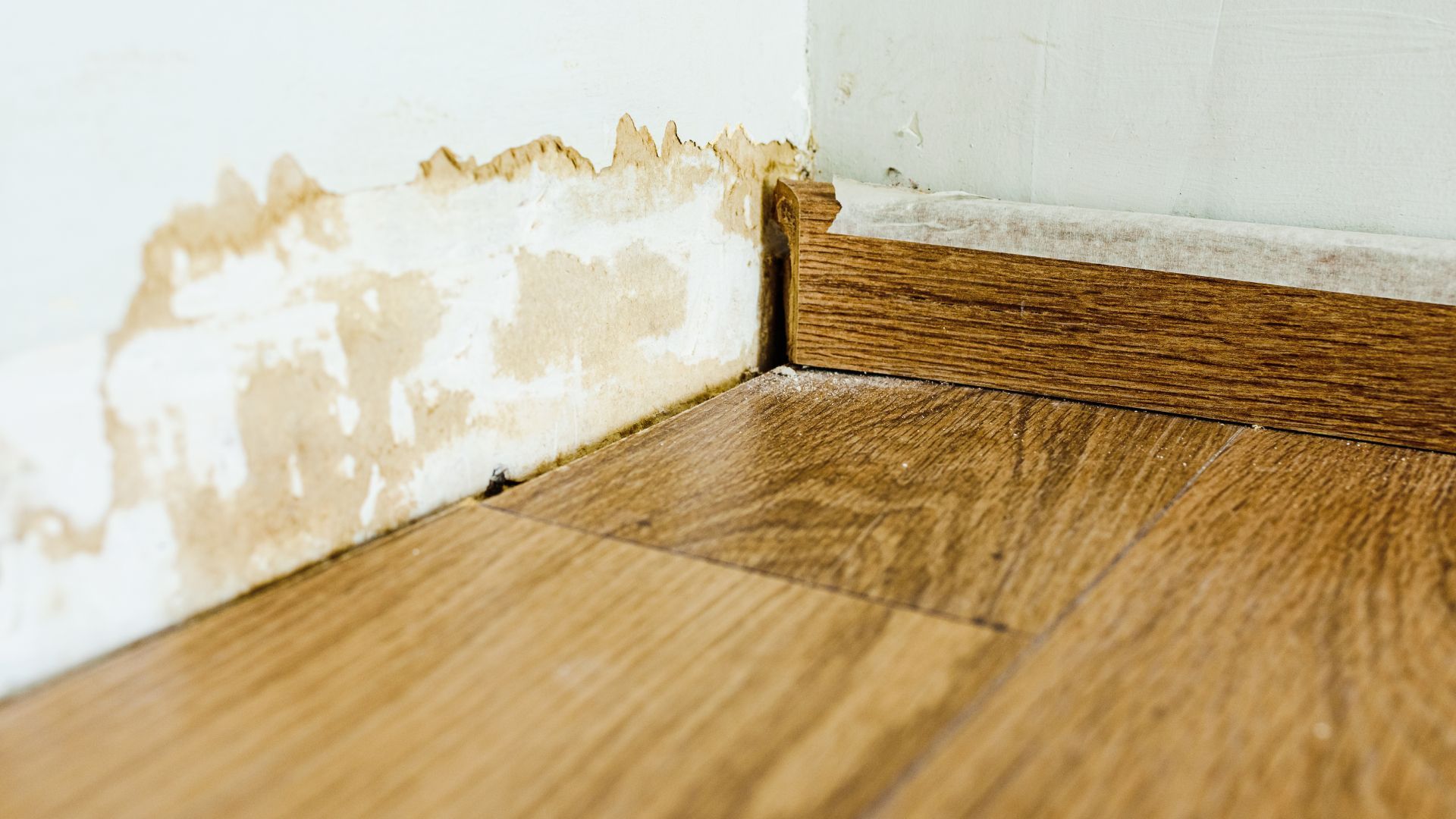 A corner of a room with a wooden floor and a white wall.