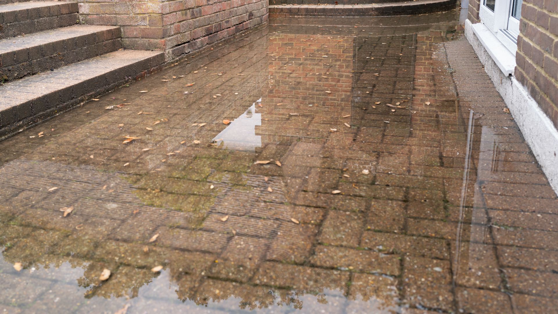 A brick walkway with a puddle of water on it.