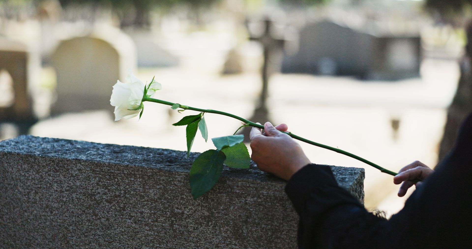 Person places a white rose on a tombstone, representing wrongful death attorney in Georgia.