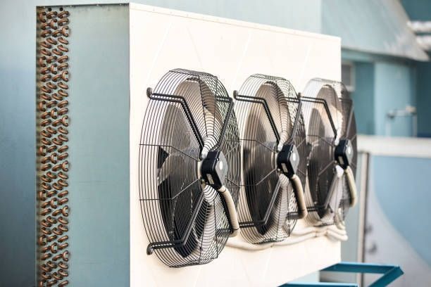 A Row of Fans Are Hanging on a Wall — Enterprise Air That's Cool in Innes Park, QLD