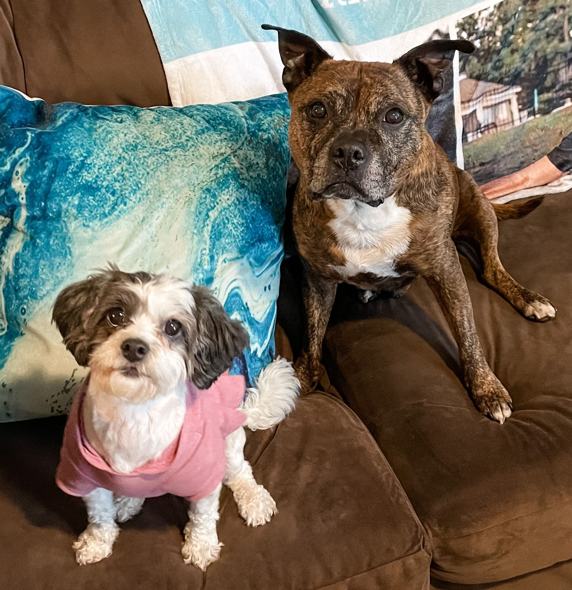 Family owned & operated vinyl wrap company in Charlotte, NC