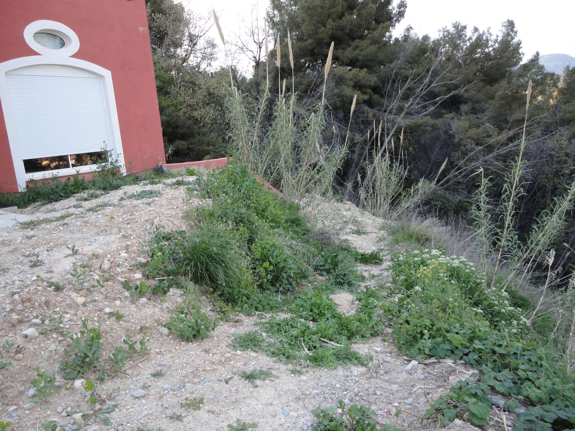 decoration éxtérieure jardin