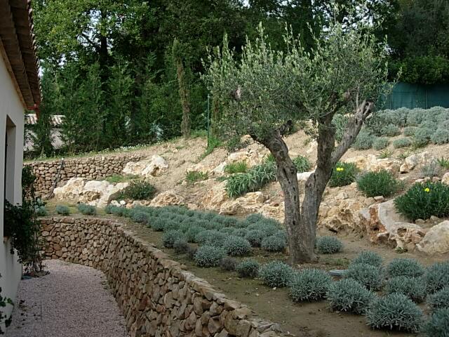 Jardin Fleury olivier