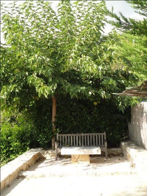 decoration éxtérieure jardin