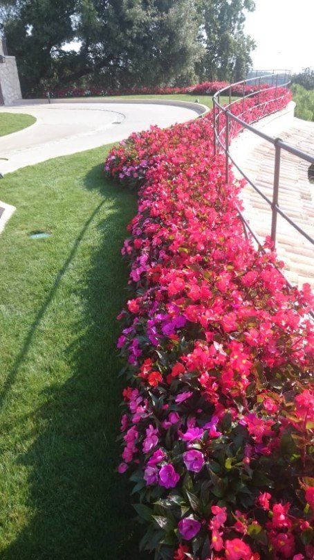 decoration éxtérieure jardin