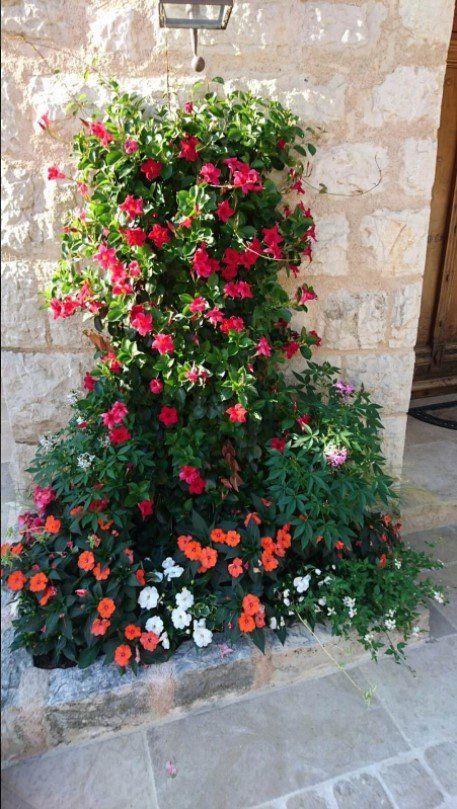 decoration éxtérieure jardin