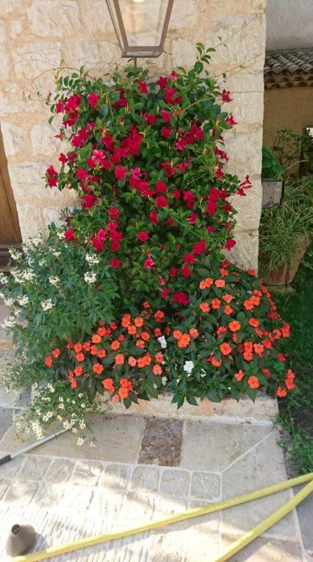 decoration éxtérieure jardin