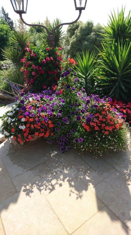 decoration éxtérieure jardin