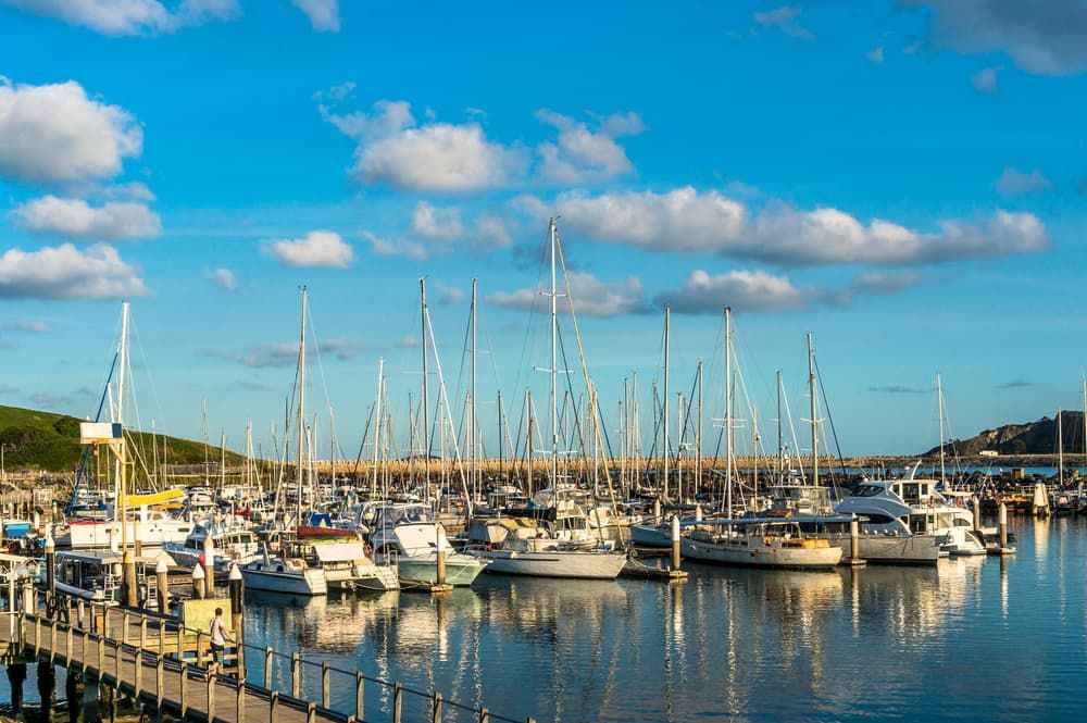 A Row of Boats Are Docked in A Marina on A Sunny Day — Adam's Sawmill in Coffs Harbour, NSW