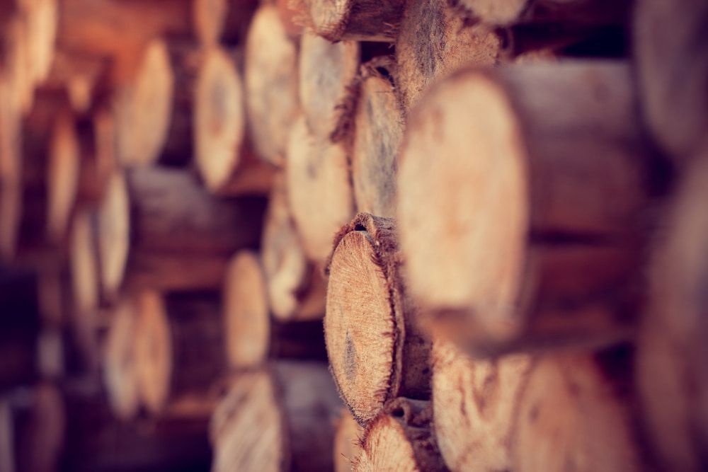 A Close up Of a Pile of Logs Stacked on Top of Each Other — Adam's Sawmill in Bonville, NSW