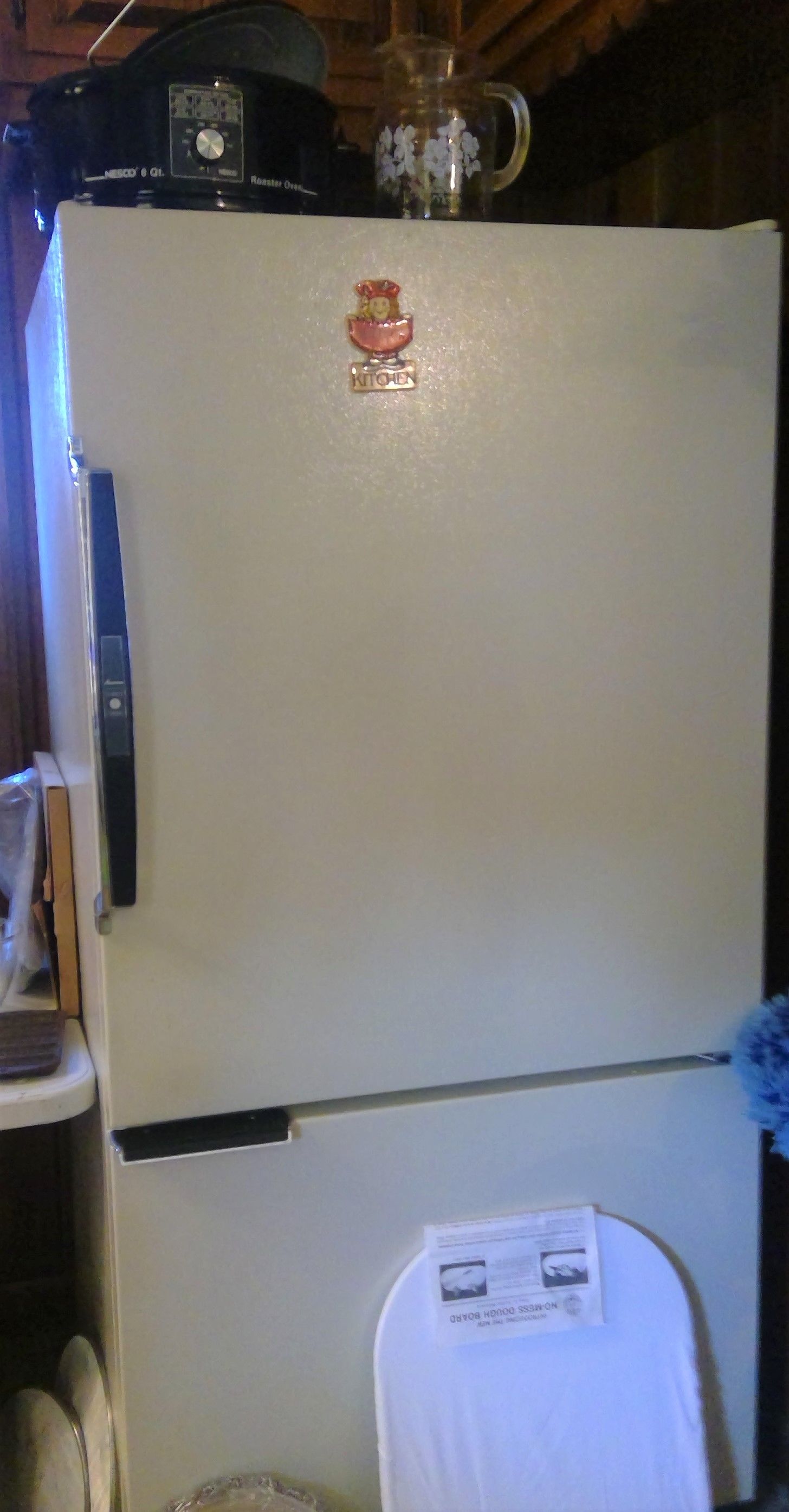 2 Door Refrigerator | Anne's Anteex | Lake Ave., Peoria, IL