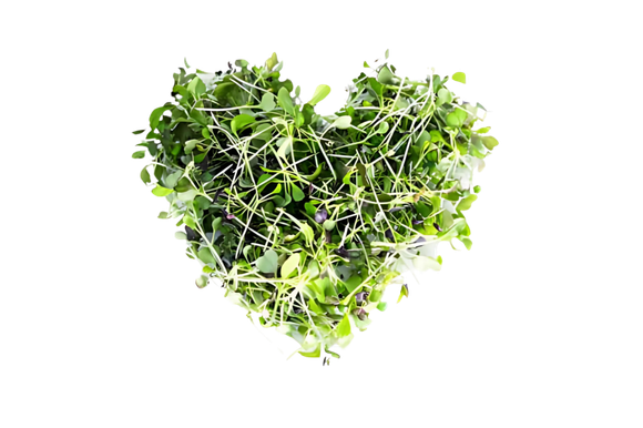 Microgreen Heart