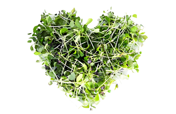 Microgreen Heart