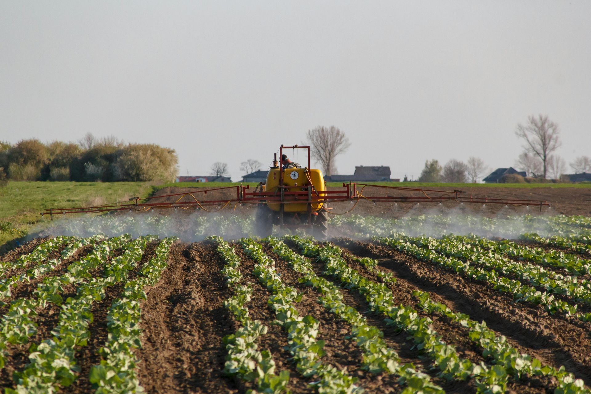 A person is holding a handful of fertilizer in their hand.