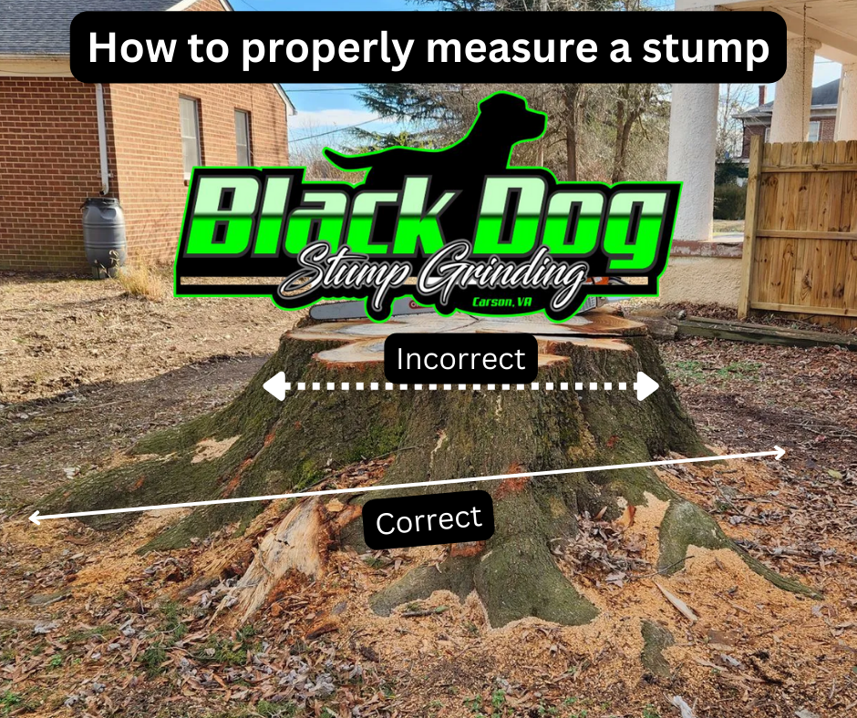 our-work-black-dog-stump-grinding