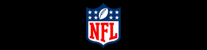 NFL logo on a black background: a shield with a football and stars above the letters