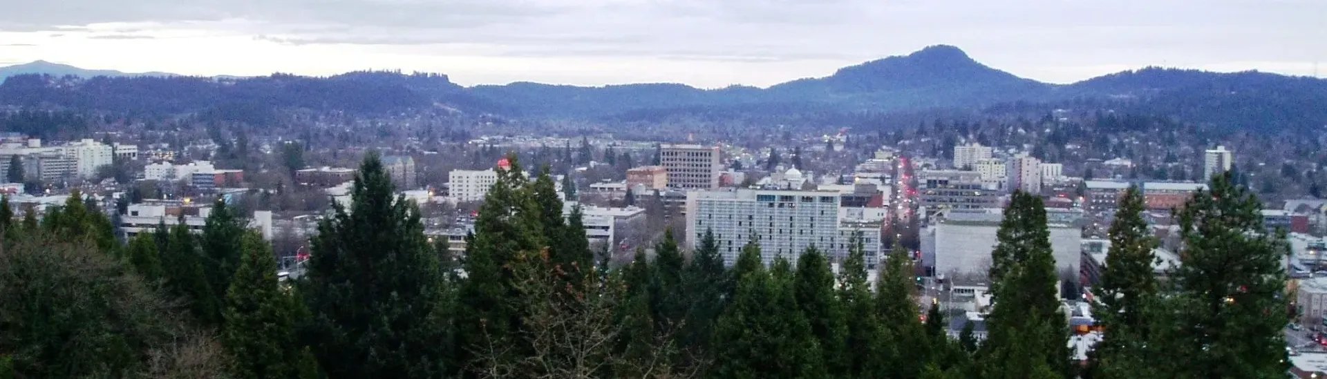 An aerial view of a city with trees in the foreground and mountains in the background.