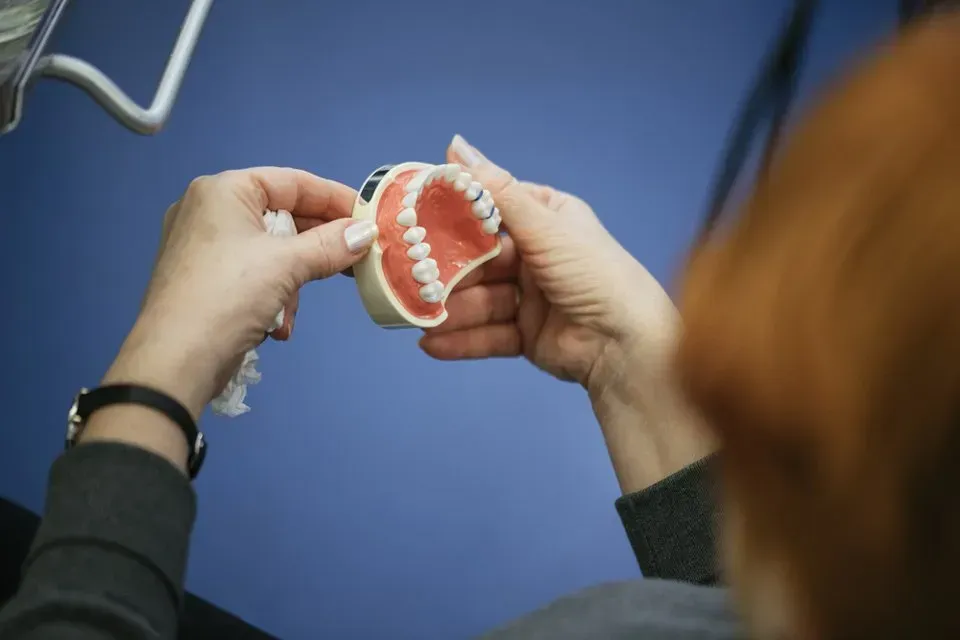 A Woman is Holding a Model of Her Teeth in Her Hands — Twin Towns Denture Clinic In Nabiac, NSW