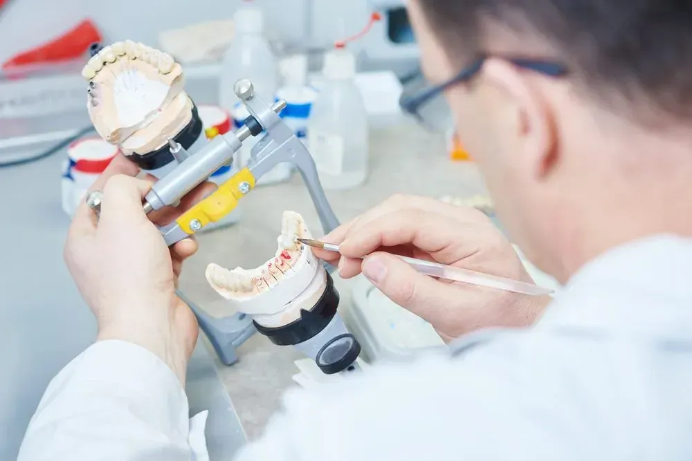 A Dentist is Working on a Model of a Person 's Teeth — Twin Towns Denture Clinic In Forster, NSW