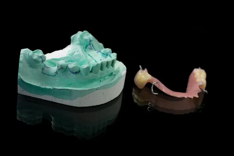 A Dental Model and a Dental Prosthetic on a Black Background — Twin Towns Denture Clinic In Gloucester, NSW