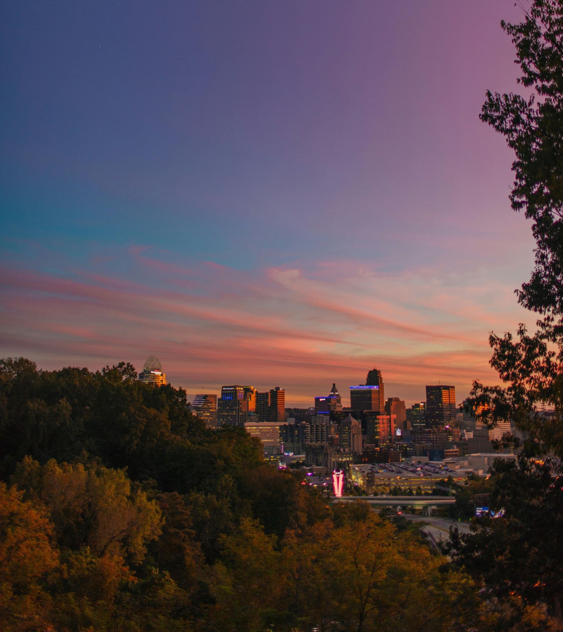 A city skyline at sunset with trees in the foreground