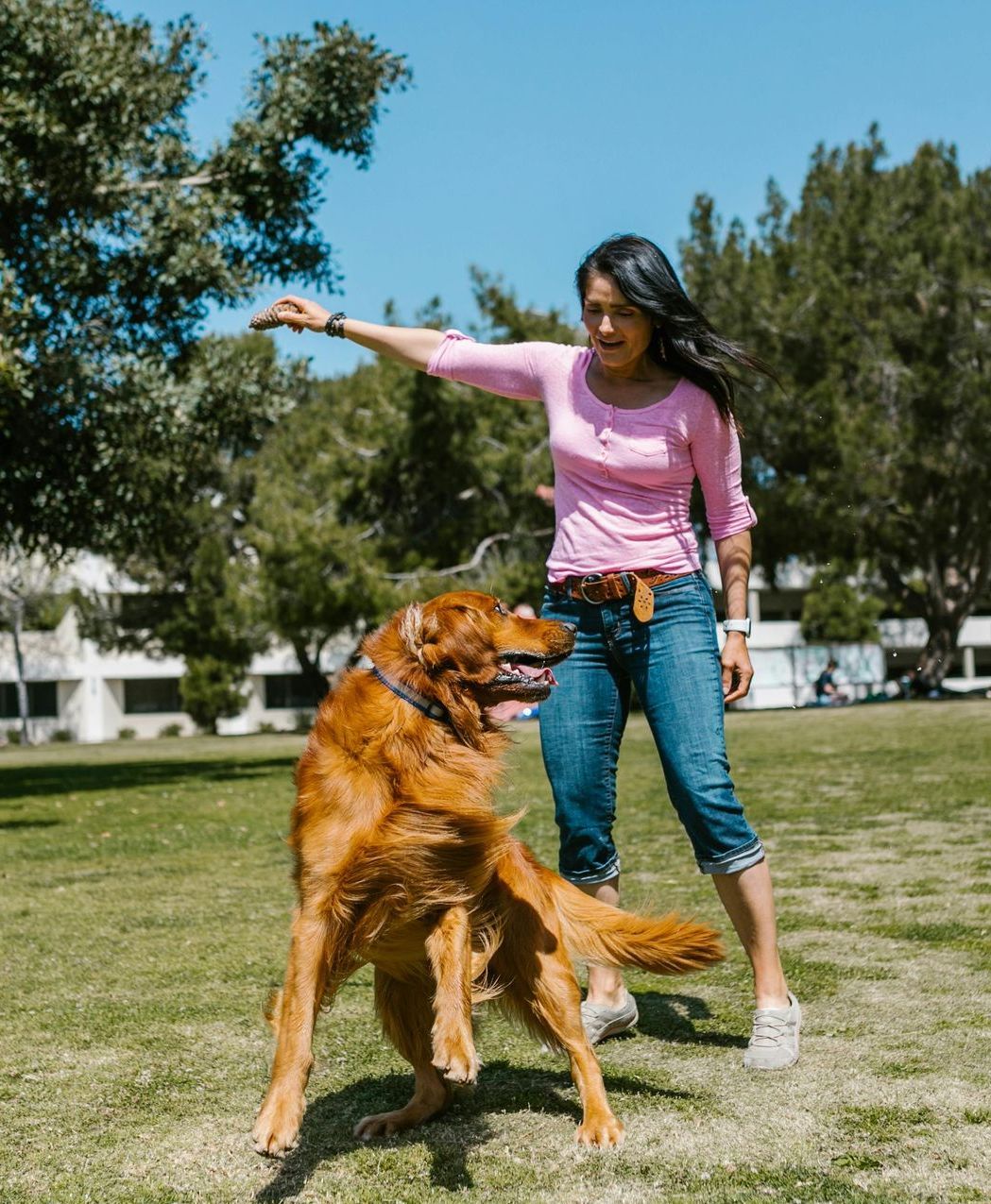 A woman in a pink shirt is playing with a brown dog in a park.