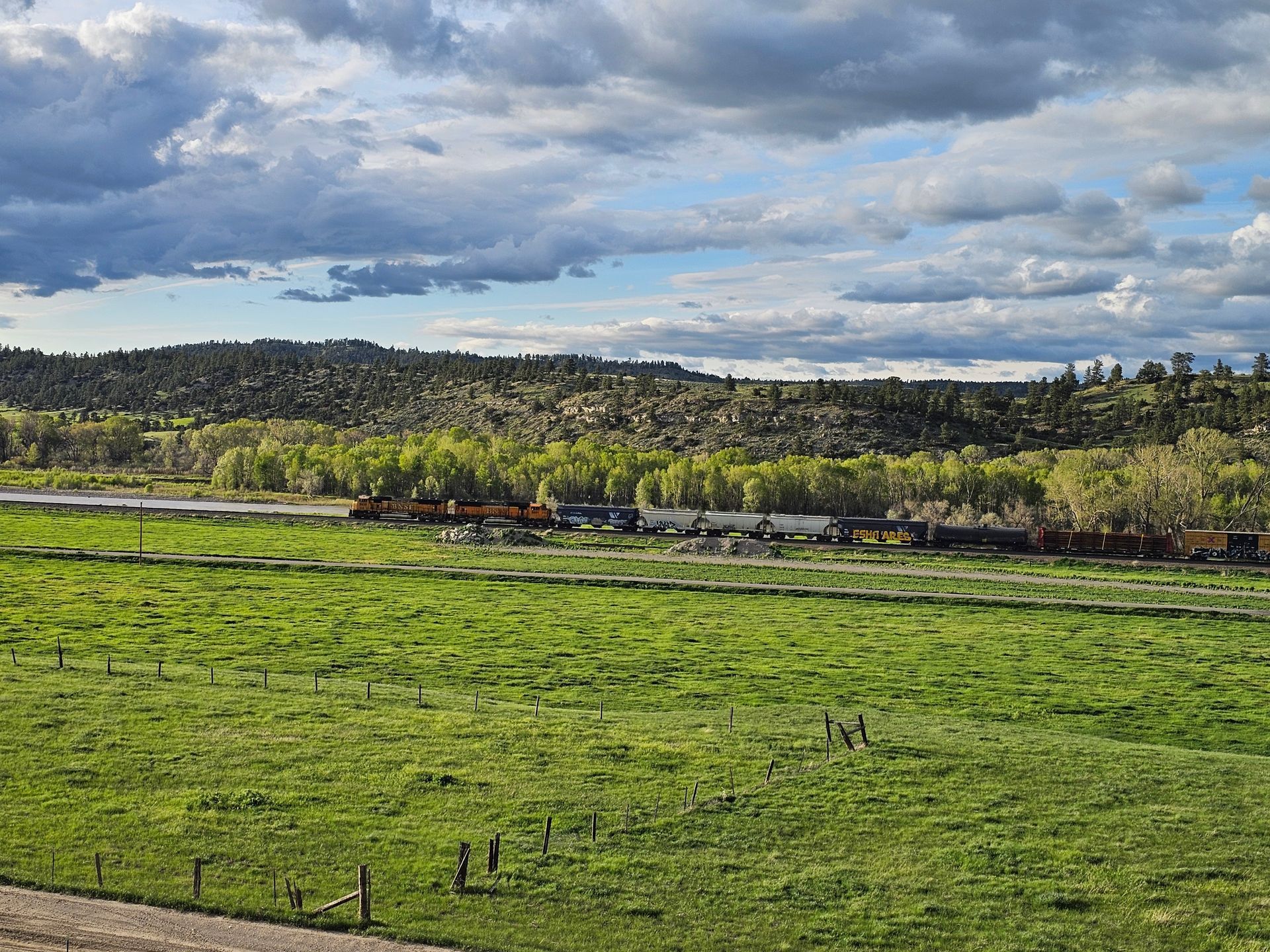 A train is going through a grassy field on a cloudy day.