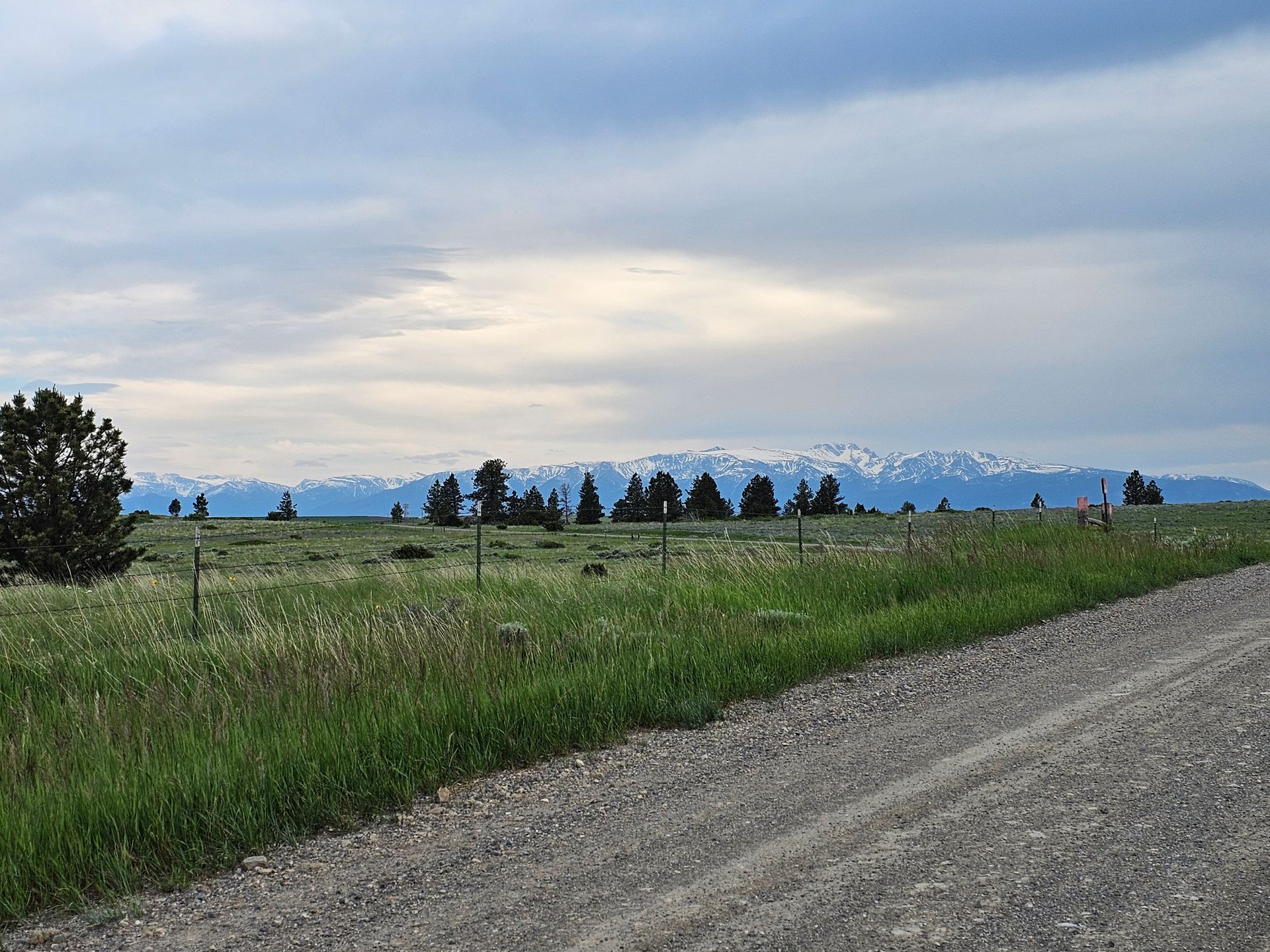 Gravel road leads to grassy field with fence, distant treeline and snow-capped mountains under cloudy sky.
