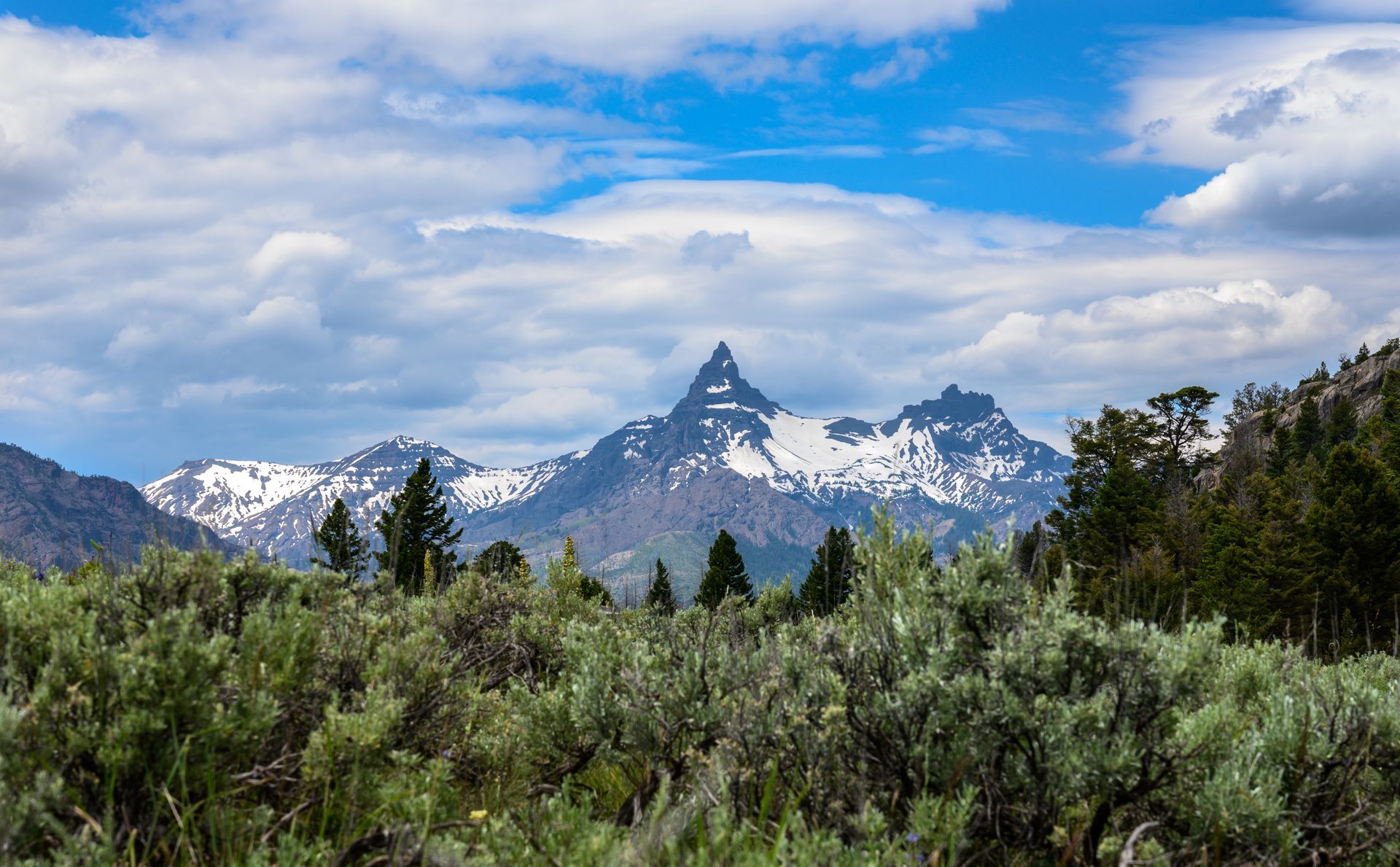 Mountain range with snowy peaks under a cloudy blue sky, viewed through sagebrush.