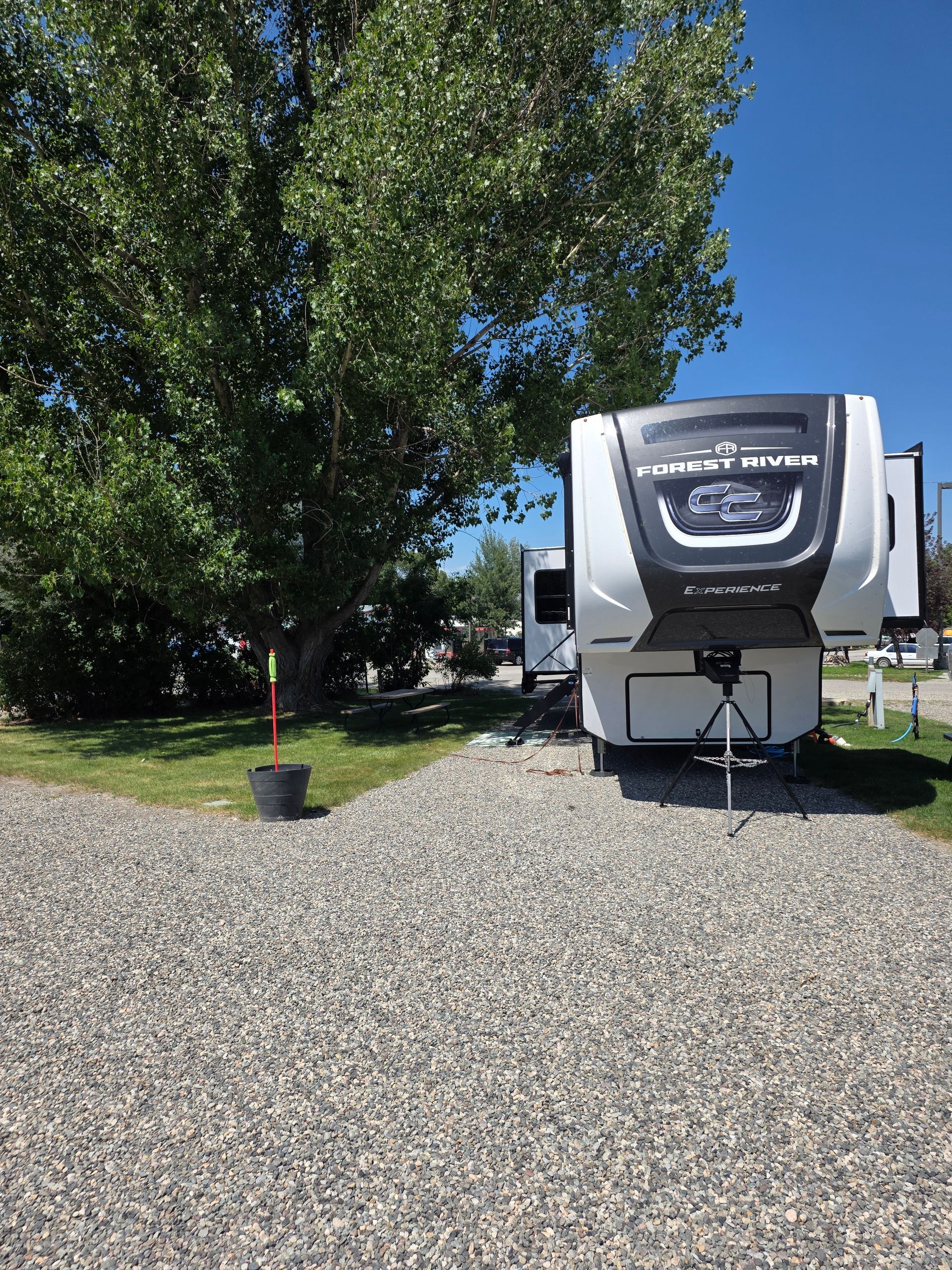 RV parked on gravel, under a tree, in a campground on a sunny day.